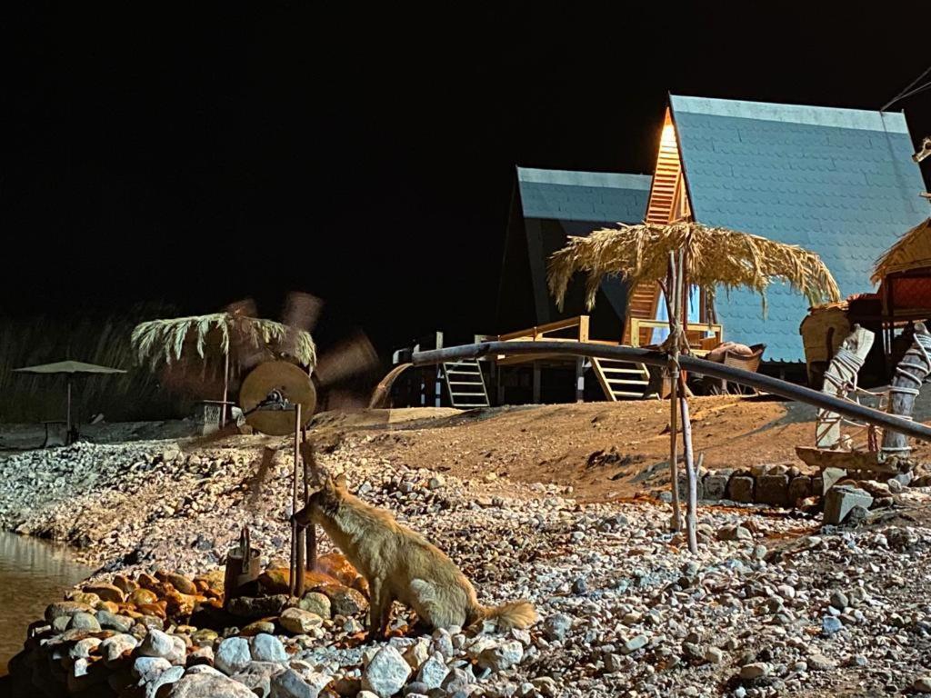Hotel Wadi Al-Hassa Camp à Khawkhah Extérieur photo
