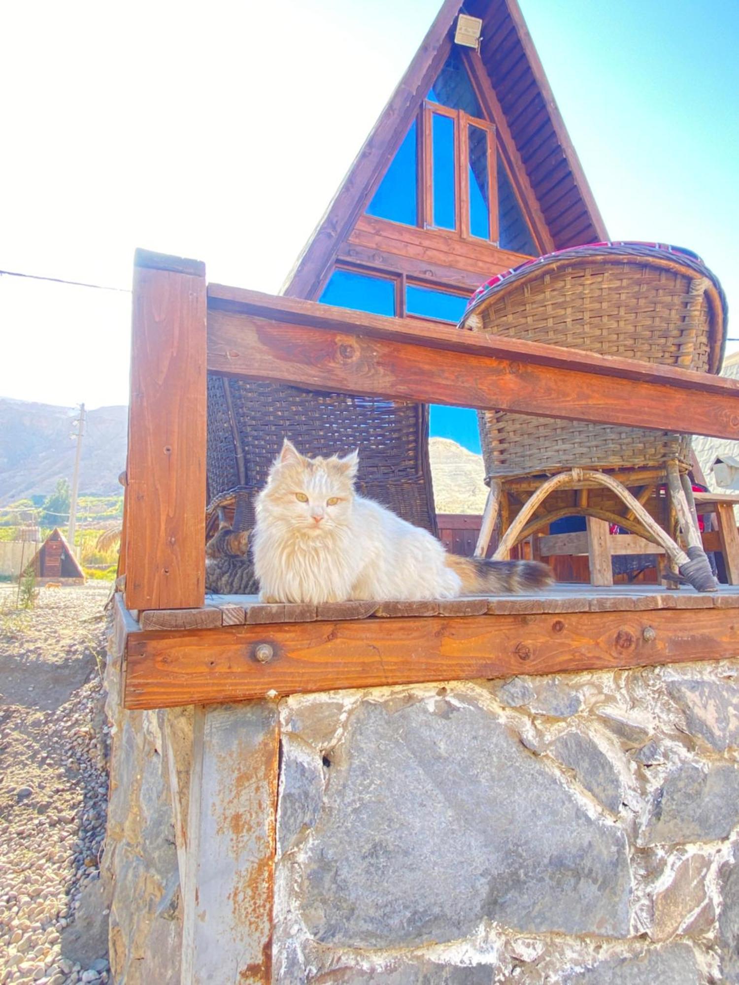 Hotel Wadi Al-Hassa Camp à Khawkhah Extérieur photo